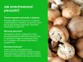 Jak przechowywać pieczarki? Porady dotyczące chłodzenia, mrożenia i suszenia pieczarek, aby zachować ich świeżość i smak.