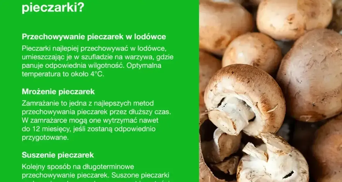 Jak przechowywać pieczarki? Porady dotyczące chłodzenia, mrożenia i suszenia pieczarek, aby zachować ich świeżość i smak.