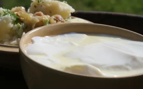 Domowy sposób na zsiadłe mleko. Gęste, białe zsiadłe mleko w glinianej miseczce, obok ziemniaki z koperkiem.