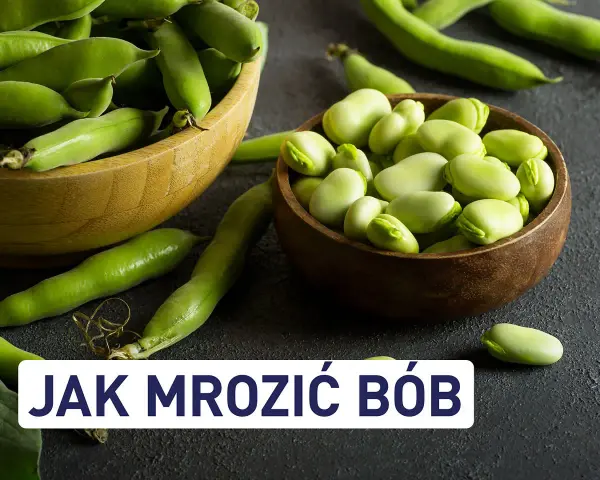 Świeży bób w łupinach i wydłubane ziarna w miseczkach. Dowiedz się, czy bób można mrozić, by cieszyć się nim dłużej.