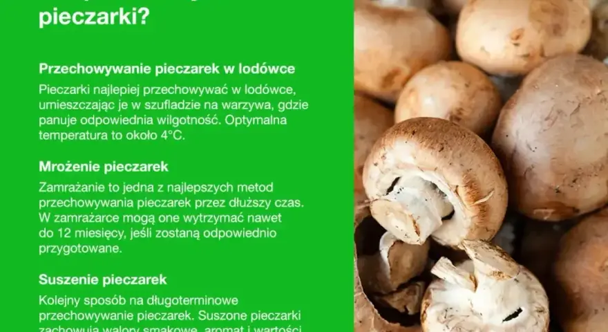 Jak przechowywać pieczarki? Porady dotyczące chłodzenia, mrożenia i suszenia pieczarek, aby zachować ich świeżość i smak.