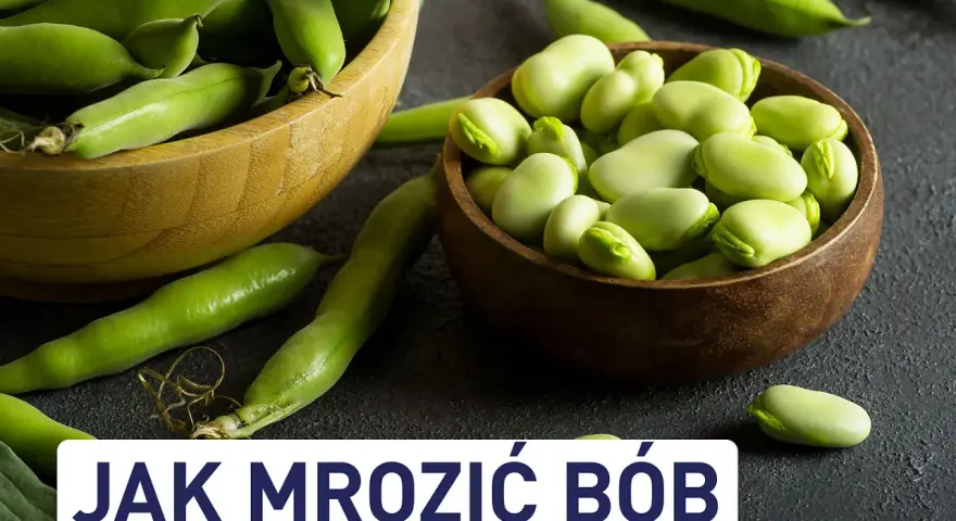 Świeży bób w łupinach i wydłubane ziarna w miseczkach. Dowiedz się, czy bób można mrozić, by cieszyć się nim dłużej.
